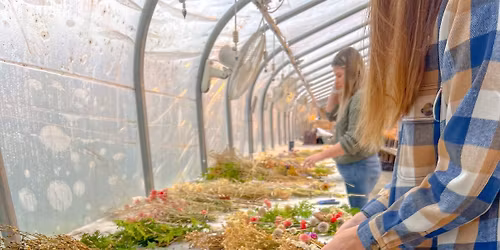 Dried Flower Wreath Workshop