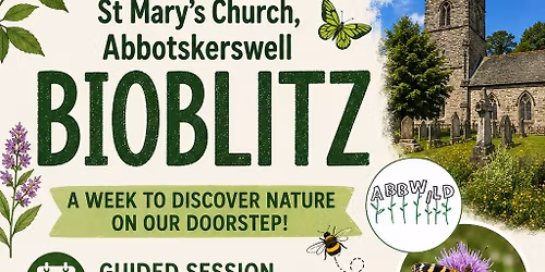Churchyard Bioblitz - St Mary's Church, Abbotskerswell