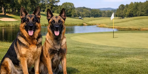 Protection4paws Charity Golf Classic