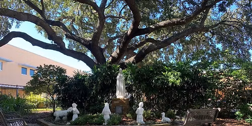 November Young Adult Mass and Social