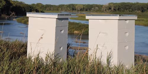 Northwest Craft Fair