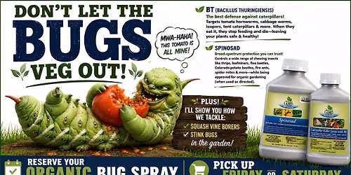 Don't Let the Bugs Veg OUT! Find Out Tips & Tricks