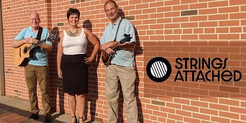 Strings Attached Live at Harmony Hill Vineyards