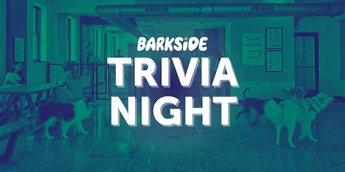 Tuesday Trivia Night