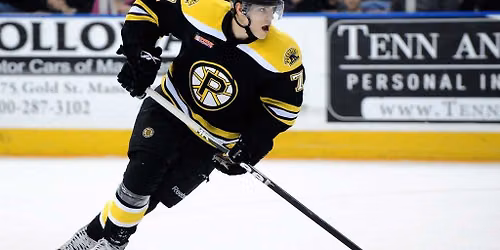 Hartford Wolf Pack at Providence Bruins