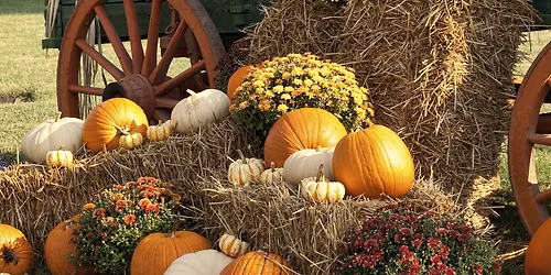 1st Annual Community Gardening Fall Festival