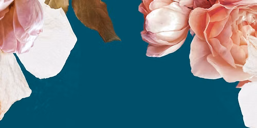 Bloom: Women\u2019s Bible Study 