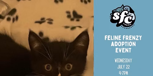 7\/22 Feline Frenzy Adoption Event at PetSmart Central Park