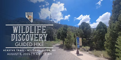 Wildlife Discovery - Guided Hike