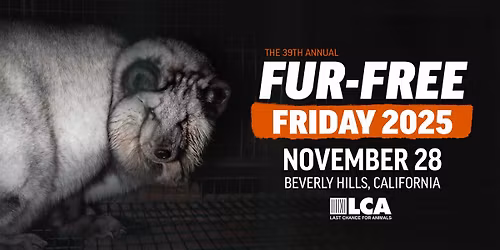 Fur-Free Friday, Beverly Hills, CA