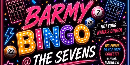 Barmy Bingo @ The Sevens