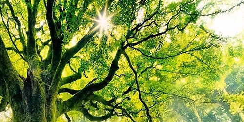 Apericena Donne di Santa Viola