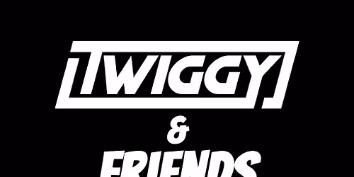Twiggy & Friends