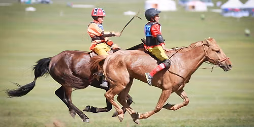 World Horse Day Festival 2026