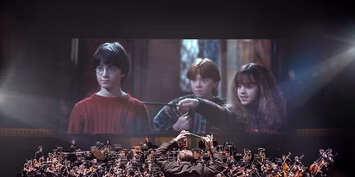Harry Potter and The Sorcerers Stone in Concert at Riverside Theater - WI
