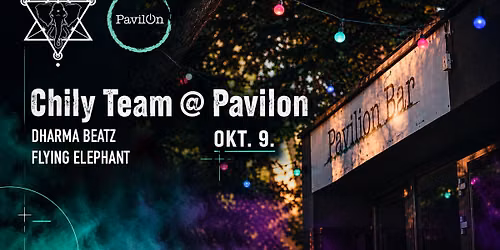 Chily Team @ Pavilon (techno special)