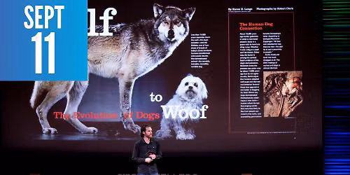 Ronan Donovan - Exploring Our Wild Nature: Wolves, Chimps & Gorillas