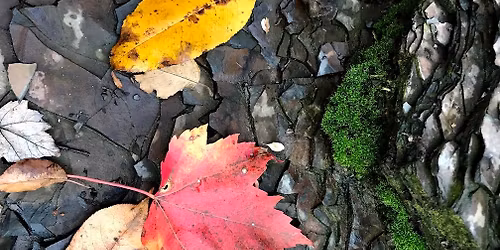 Black Friday and Small Business Saturday SALE