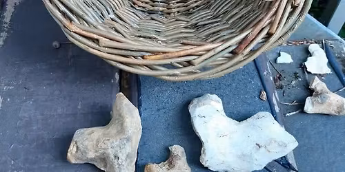 Introduction to Basket Weaving Course