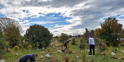 Brooker Reserve Community Planting Event 