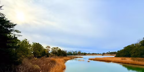Sunset Strides: Pleasure House, Lesner & Chick\u2019s Beach (Up to 6 Miles) \ud83d\udc5f\ud83c\udf05 \ud83c\udf0a 