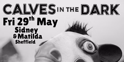 Calves In The Dark + Supports @ Sidney &amp; Matilda - Sheffield 