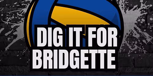 Dig It For Bridgette Fundraiser Tournament 