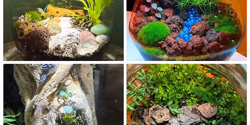 Terrarium Time with Gigi\u2019s Glass Gardens