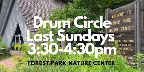Rhythm in the Forest