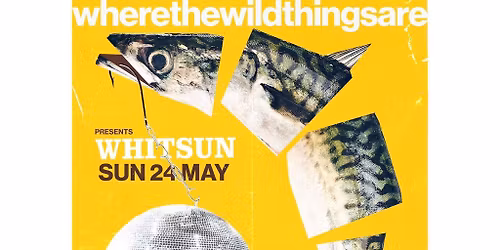 WTWTA Whitsun: Anella Afters