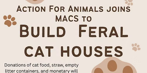 Cat Colony Community Event