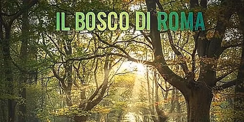 \ud83d\udccdIl bosco di Roma: nella Riserva di Monte Mario con Nomos Trek \ud83c\udf33