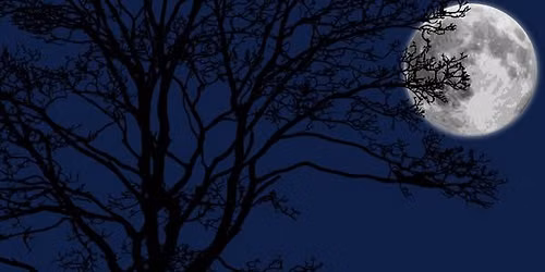 A Monster Calls