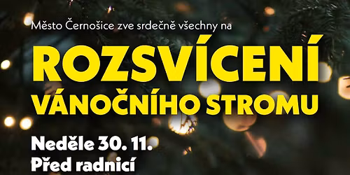 Rozsv\u00edcen\u00ed v\u00e1no\u010dn\u00edho stromu v \u010cerno\u0161ic\u00edch