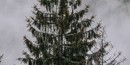 Christmas and Year End Party