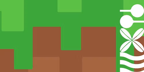 Minecraft Club