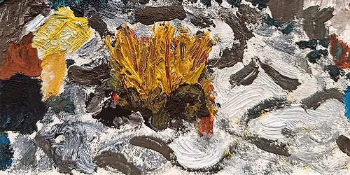 Kura skymning - musik och h\u00f6gl\u00e4sning p\u00e5 biblioteket