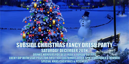 Subside Christmas Fancy Dress Party!