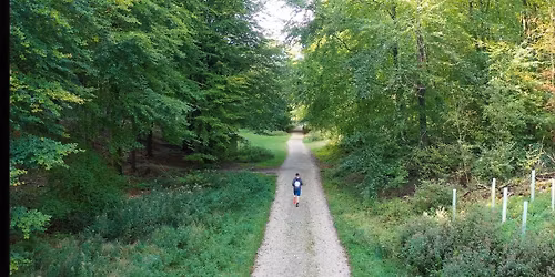 South Downs Trail Run 