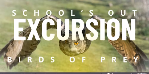 School's Out Excursion - Birds of Prey