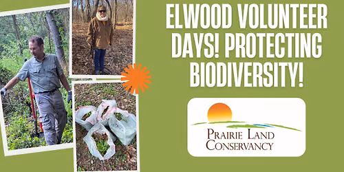 Elwood Volunteer Day