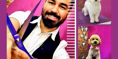 Sch\u00f6ne K\u00f6pfe - schnelle Schnitte im Salonalltag mit Francisco de Assis Ferreira de Vasconcellos