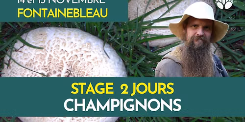 STAGE 2 JOURS - FONTAINEBLEAU - CHAMPIGNONS