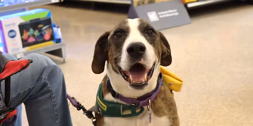 AFH DOG AND PUPPY ADOPTION EVENT - CHANTILLY