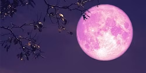 Full Moon Evening of Clairvoyance with Psychic Medium Julie Angel, Evesham