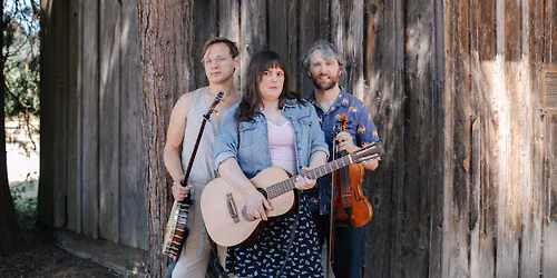 Tall Poppy String Band at Seman Violins