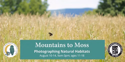 Mountains to Moss: Exploring & Photographing Natural Habitats