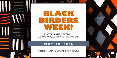 Black Birders Week Celebration!