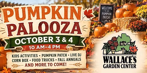 Pumpkin Palooza