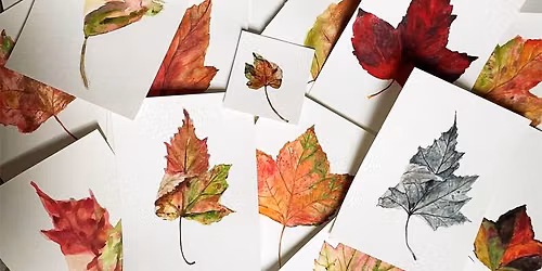 The Wisdom of Leaves